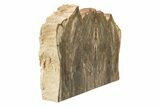 Polished Petrified Wood Bookends - Washington #240773-1
